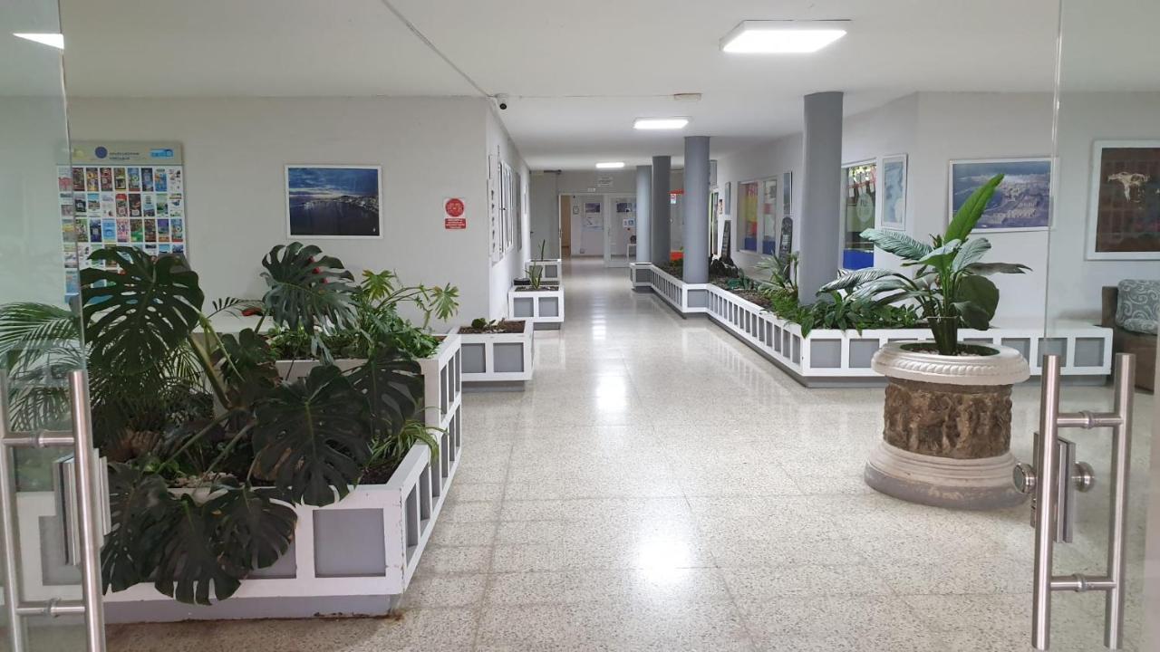 לוס כריסטיאנוס Mirador Apartment Costamar Tenerife מראה חיצוני תמונה
